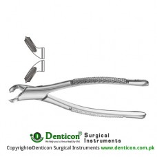 American Pattern Tooth Extracting Forcep (Child) Fig. 40 (For Lower Primary Molars) Stainless Steel, Standard